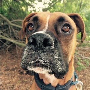 Meet your Posher, Dave